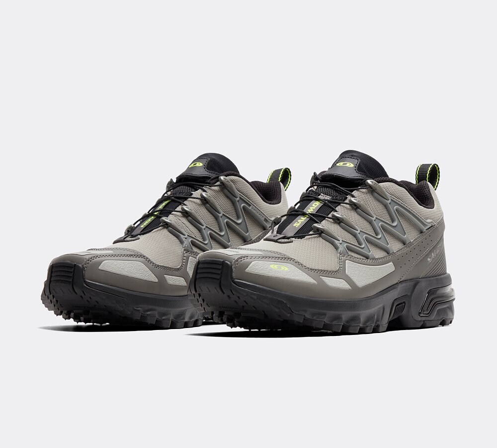 ACS Plus OG Trainer image 2