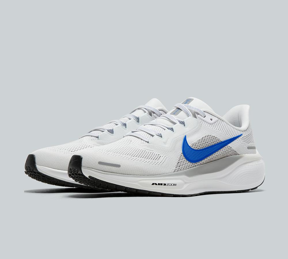 Pegasus 41 Trainer image 2