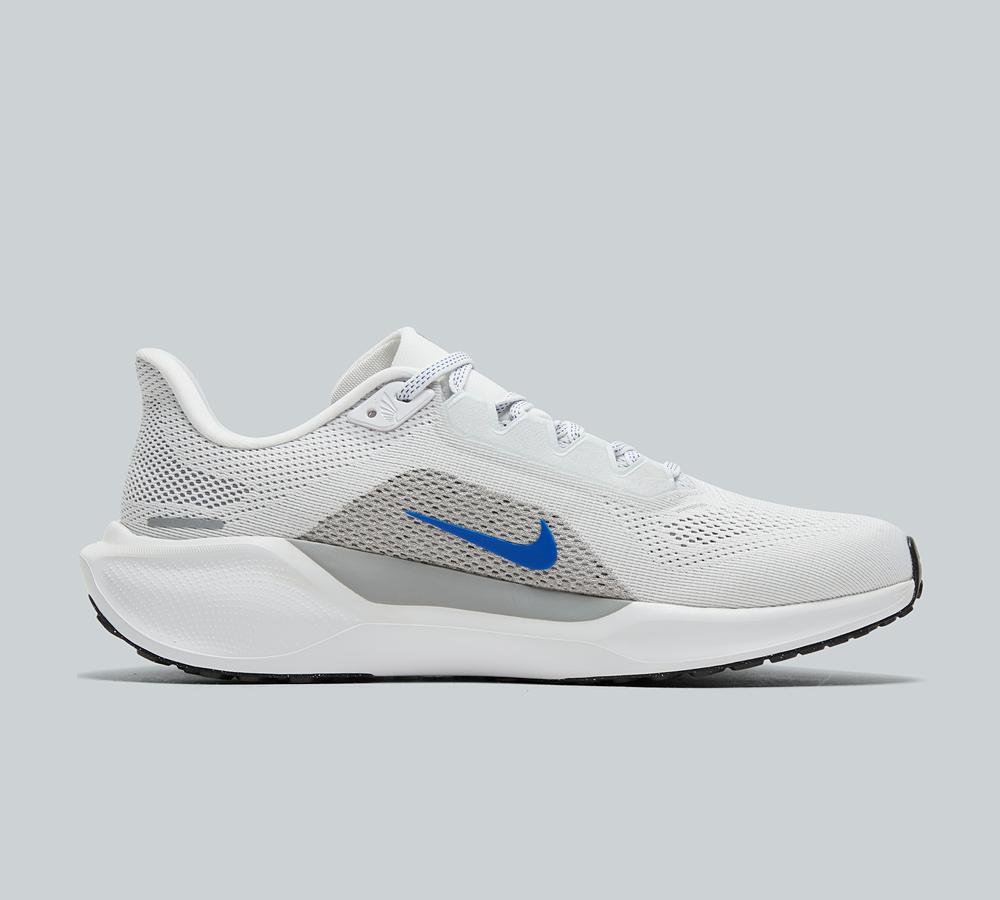 Pegasus 41 Trainer image 3