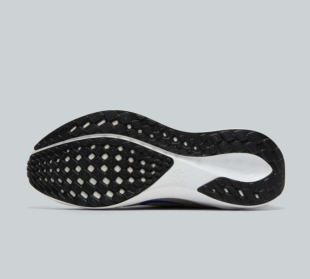 Pegasus 41 Trainer image 4