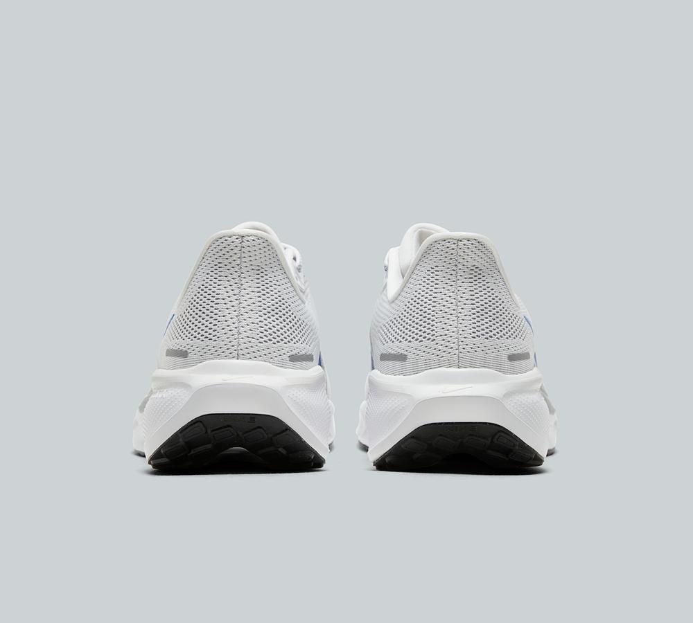 Pegasus 41 Trainer image 5
