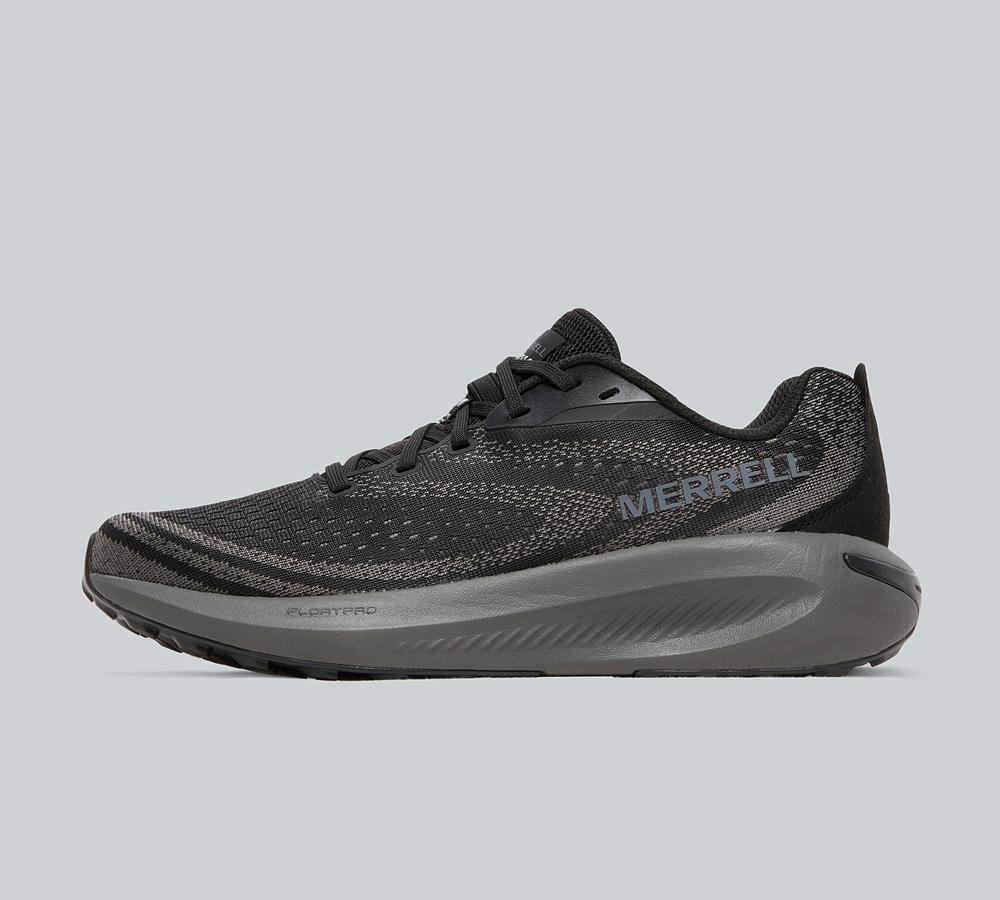 Morphlite Trainer image 1