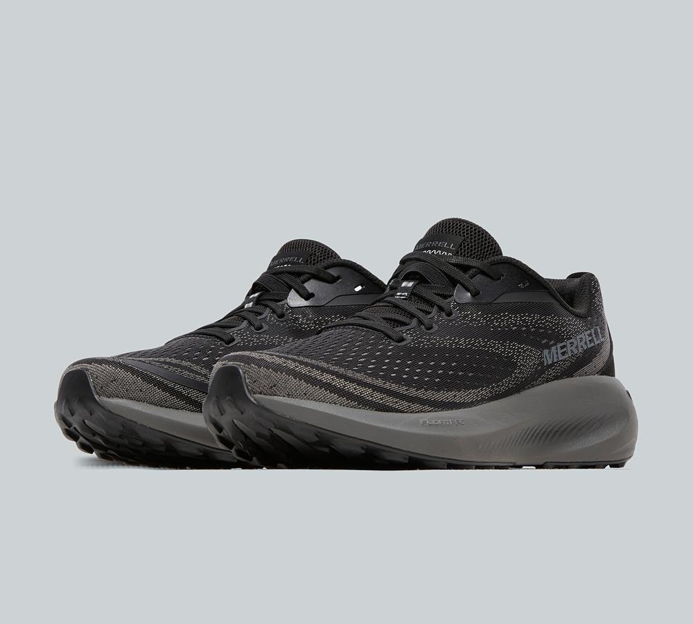 Morphlite Trainer image 2