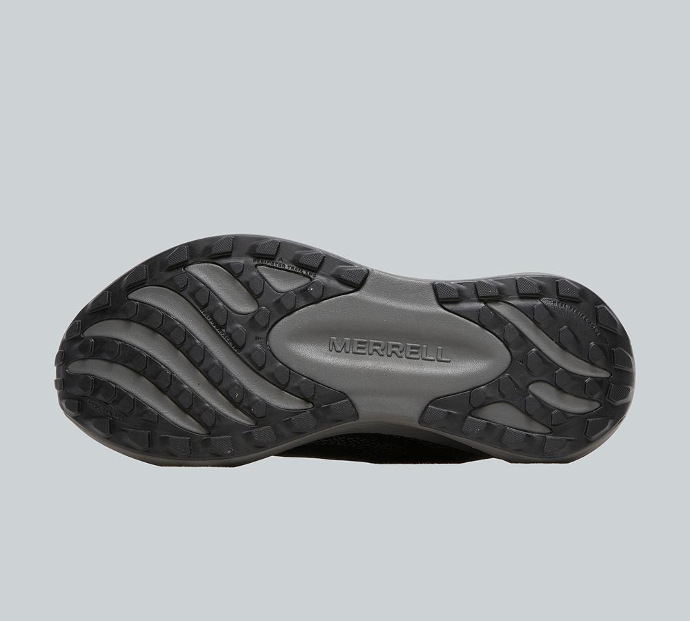 Morphlite Trainer image 4