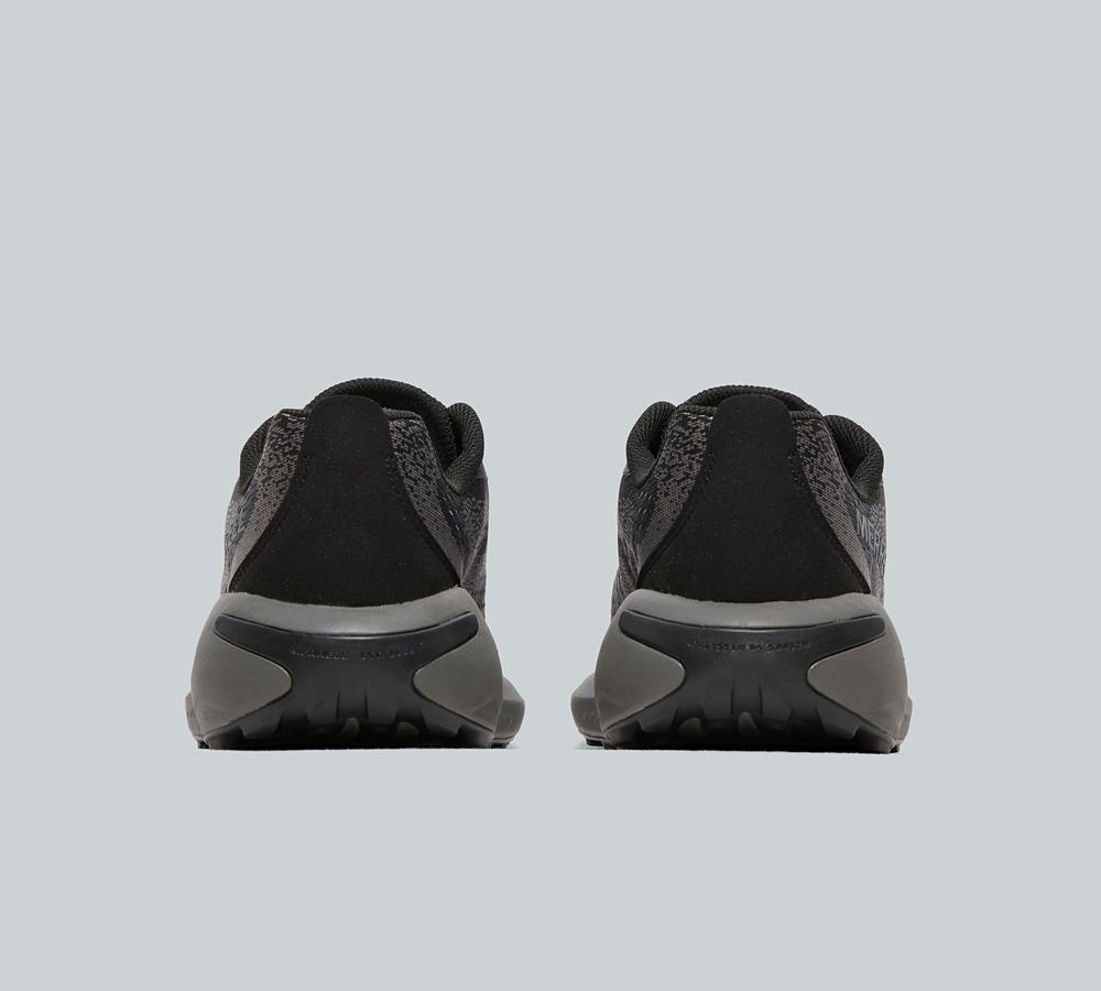 Morphlite Trainer image 5
