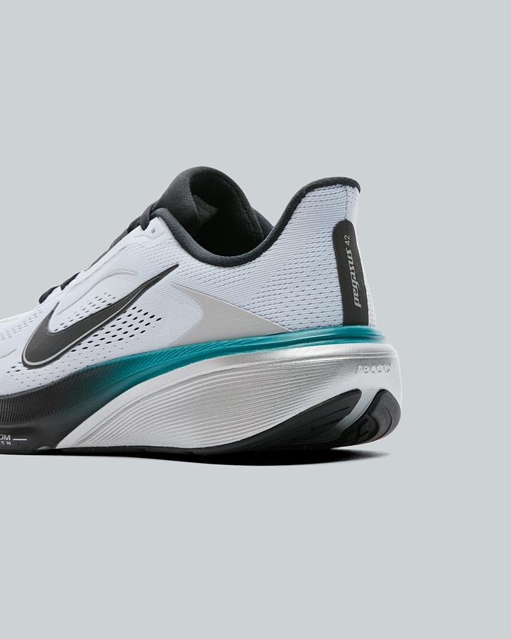 Pegasus 42 Trainer image 6