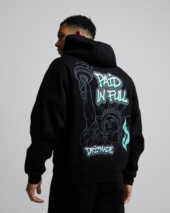 Liberty Paid Overhead Hoodie image 5