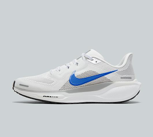 Pegasus 41 Trainer