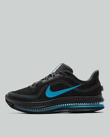 Pegasus Premium Trainer