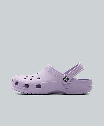 Lavender / Purple
