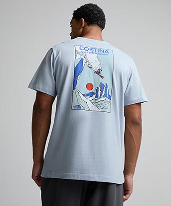 The North Face Mountain Celebration Regular Short Sleeved T-Shirt in Frost Grey