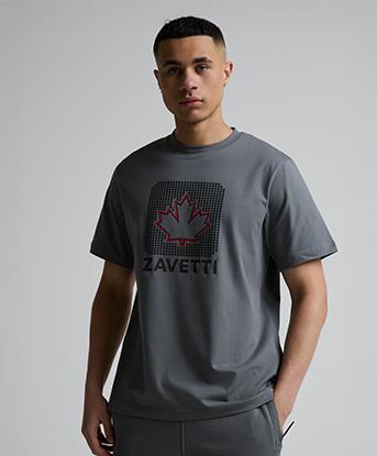 Zavetti Canada Alvo T-Shirt in Volcanic Veil