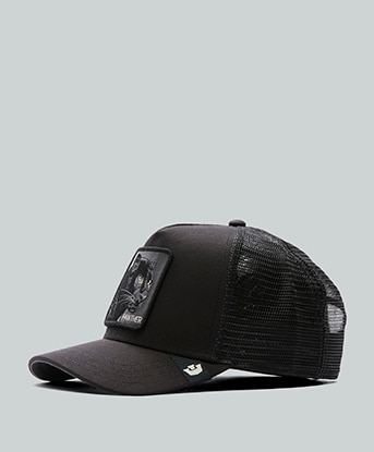 Goorin Bros Panther Trucker Cap in Void / Dust
