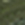 1000 Trainer in Green