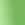 Junior Cloud 2.0 T-Shirt in Green