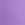 5 Inch Basic Volley Short in Purple