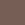 Womens Wellness Studio T-Shirt and Short Set in Brown