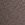 Womens Regal Daze Straight Leg Jogger in Brown