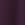 Icon Jacket in Purple