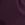 Womens Road 3.5 Inch Short in Purple