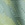 Junior Thera Short in Green