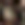 Junior Chuck Taylor Throwback Ox Trainer in Brown
