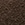 Womens Tasman II Slipper in Brown