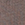Campus T-Shirt in Brown