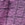 Fuse Windrunner in Purple
