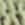 Womens Knitted Striped Polo in Green